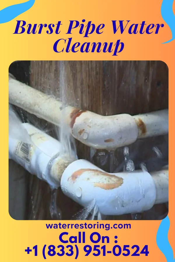 Burst Pipe Water Cleanup in Rosslyn Farms, PA