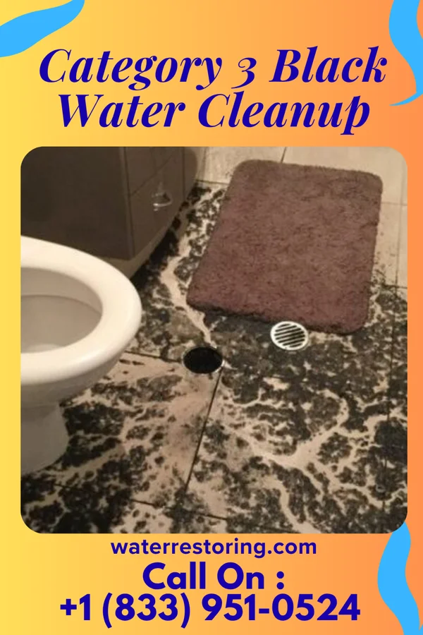 Category 3 Black Water Cleanup in Rosslyn Farms, PA