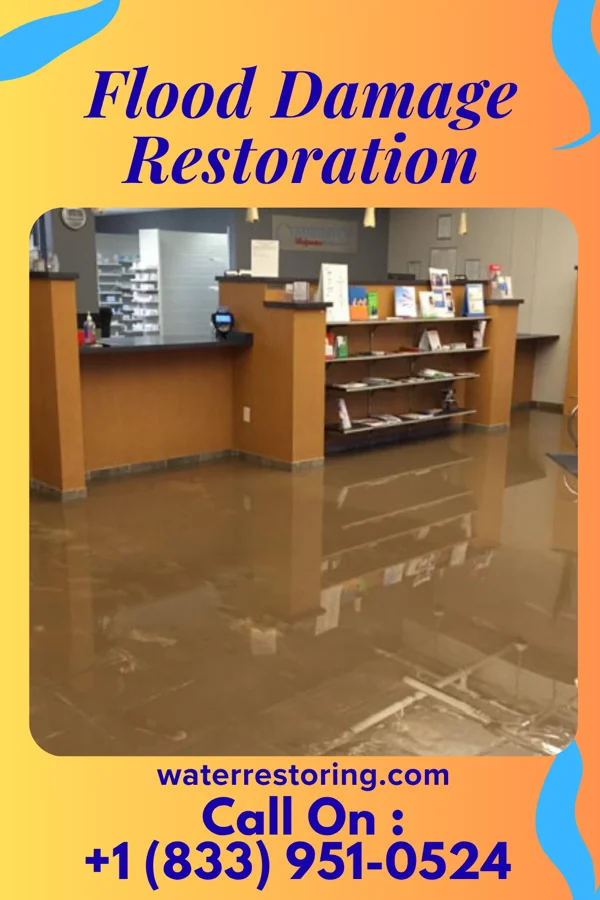 Flood Damage Restoration in Rosslyn Farms, PA