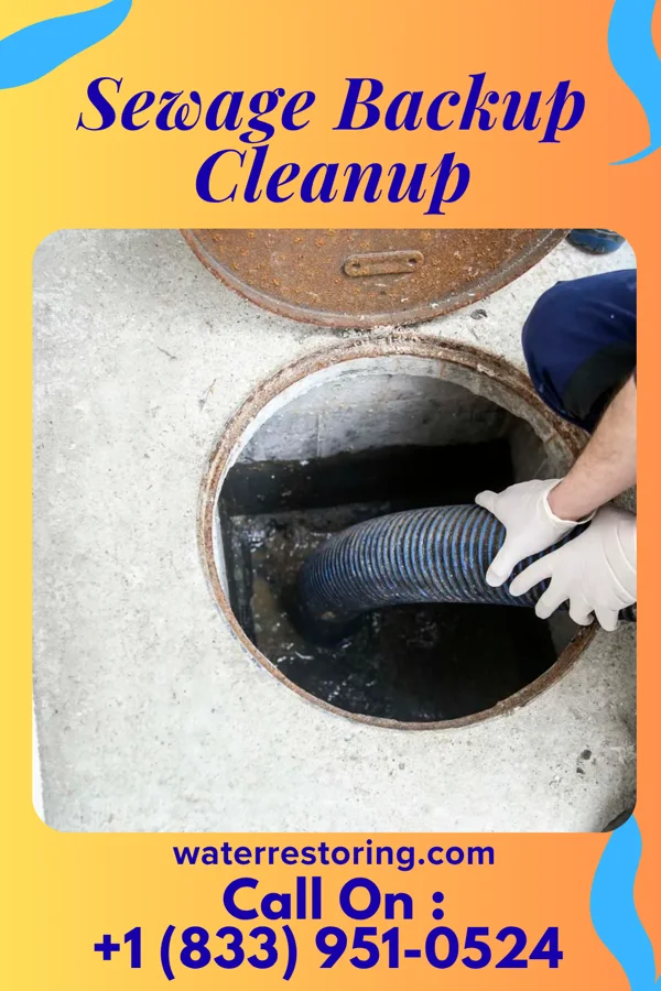 Sewage Backup Cleanup in Rosslyn Farms, PA