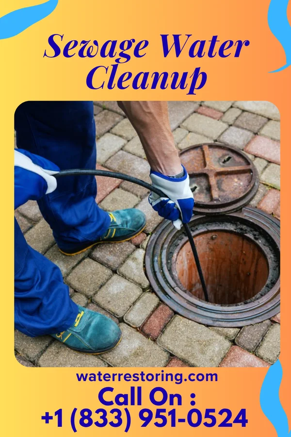 Sewage Water Cleanup in Rosslyn Farms, PA