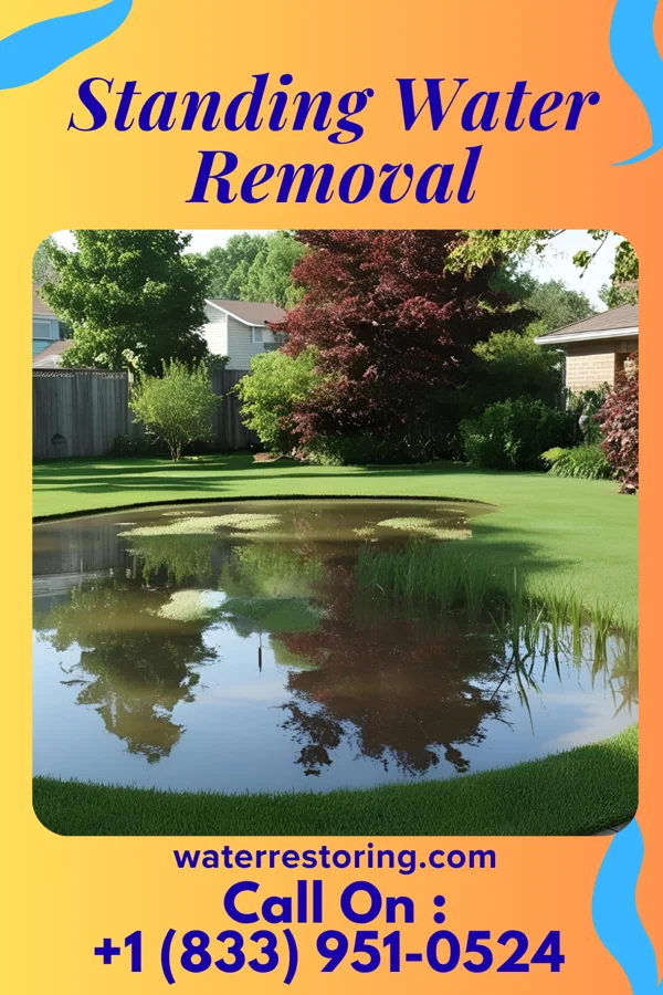 Standing Water Removal in Rosslyn Farms, PA